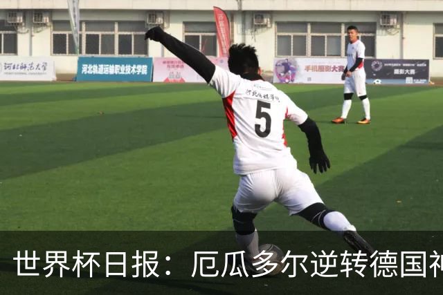 世界杯日报：厄瓜多尔逆转德国神奇出线 日本晋级将战巴西
